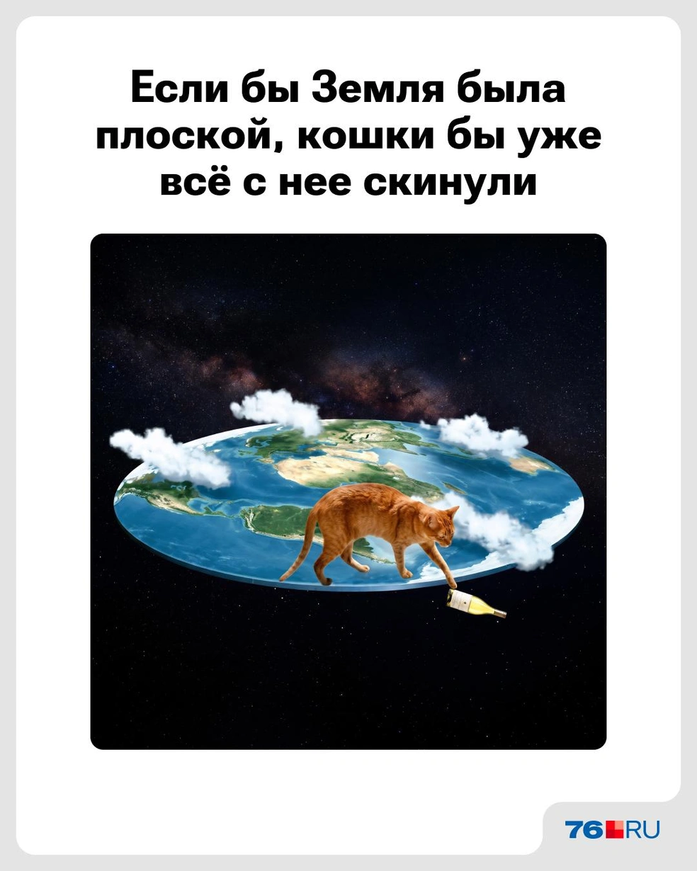 Кошатники точно об этом знают | Источник: Городские медиа