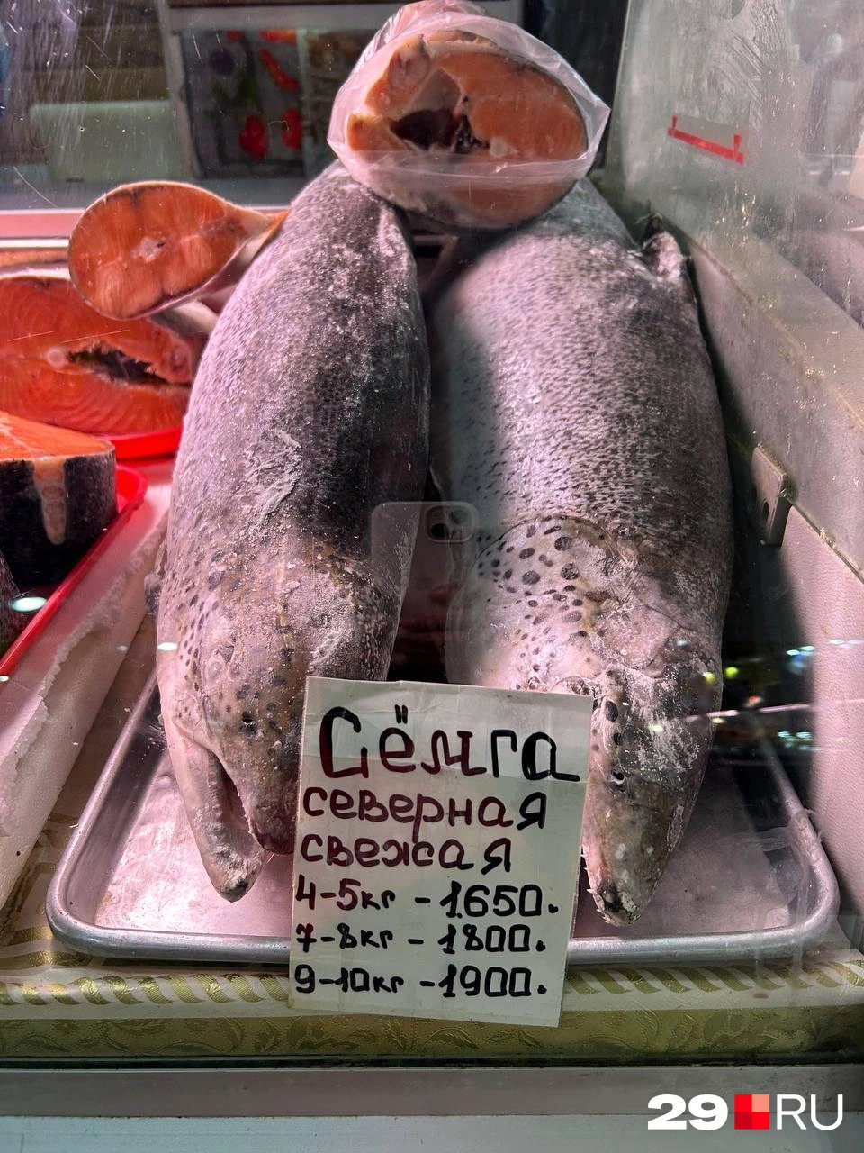 Источник: Кристина Полевая / 29.RU