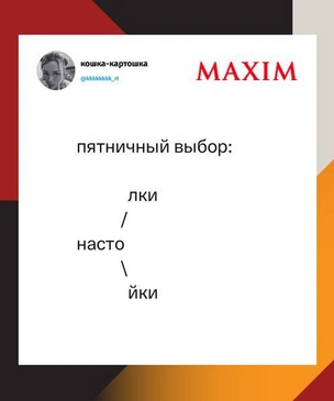 Лучшие шутки ноября и молодой душный коллектив