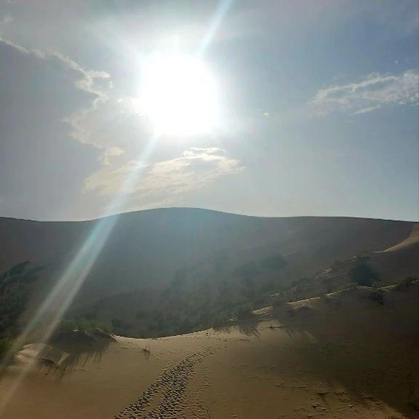 Сары-Кум&nbsp;— крупнейший песчаный бархан в Европе | Источник: читательница E1.RU Юлия