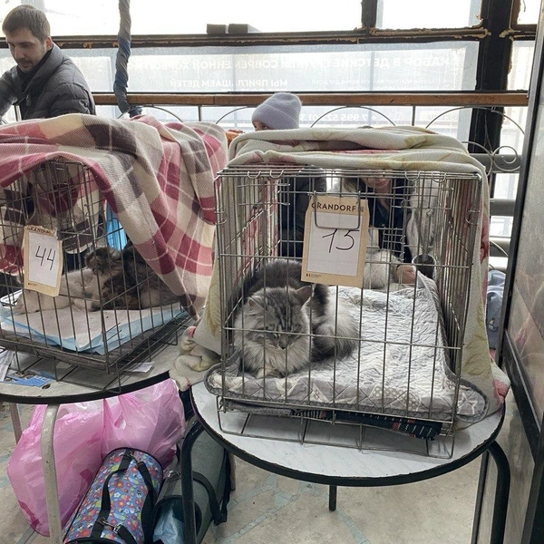 Источник: Ирина Господаренко / NGS22.RU