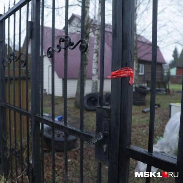 Источник: Дмитрий Толстошеев / MSK1.RU