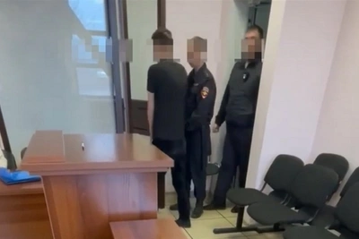 Авиадебошир осужден за действия у ребенка в самолете
