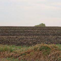 Принято решение о возбуждении уголовного дела по статье 246 УК РФ — за нарушение правил охраны окружающей среды при выполнении производственных работ | Источник: www.city-n.ru