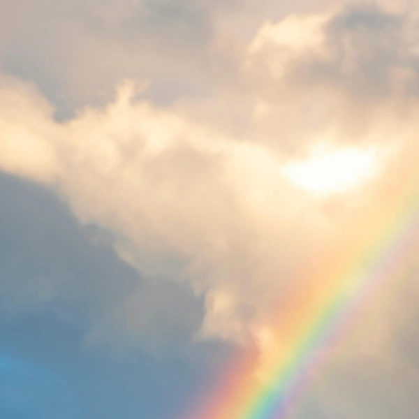Источник: Photo Magistr/Shutterstock/Fotodom.ru