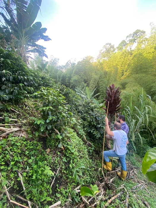 Где-то на ферме | Источник: Личный архив П. Стаброва