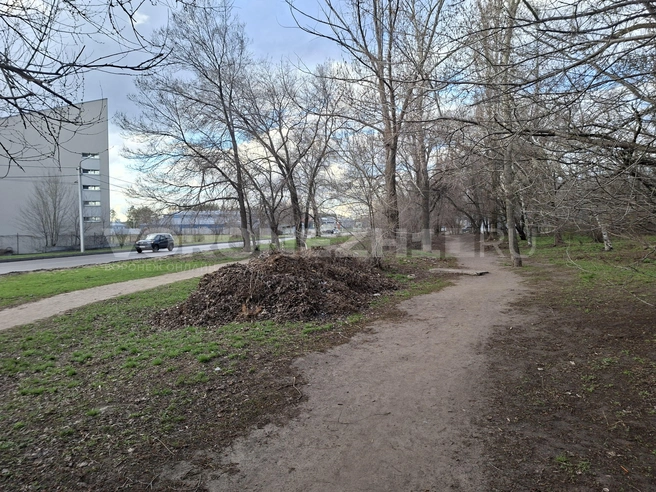 Источник: Алёна Воропаева / Voronezh1.ru