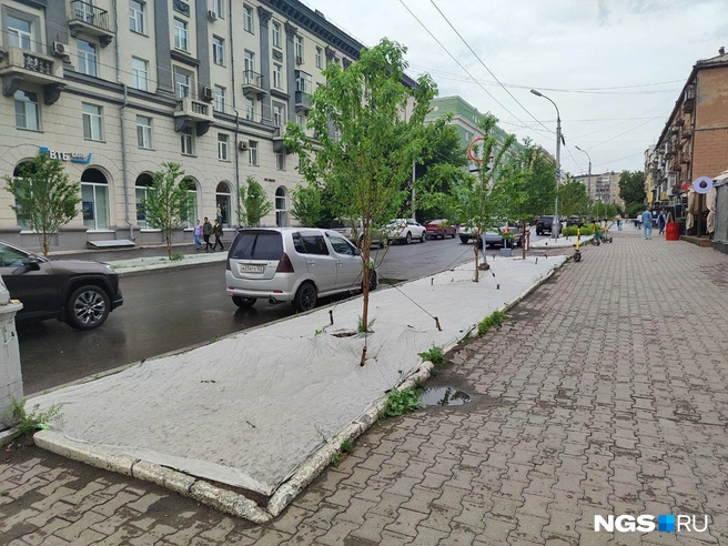 Источник: NGS.RU