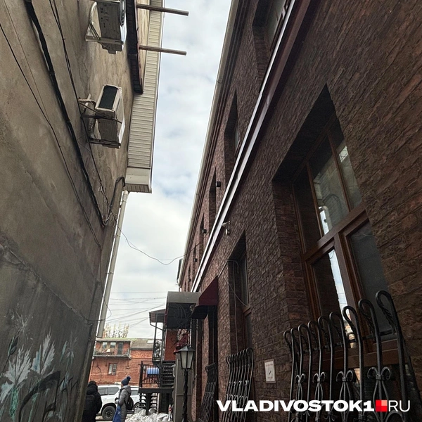 Источник: Елена Буйвол / VLADIVOSTOK1.RU