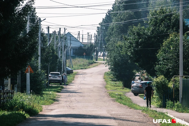 Словно снова у бабушки в деревне | Источник: Булат Салихов / UFA1.RU