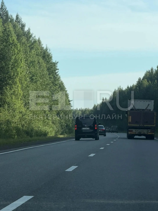 Источник: Дарья Манохина / E1.RU