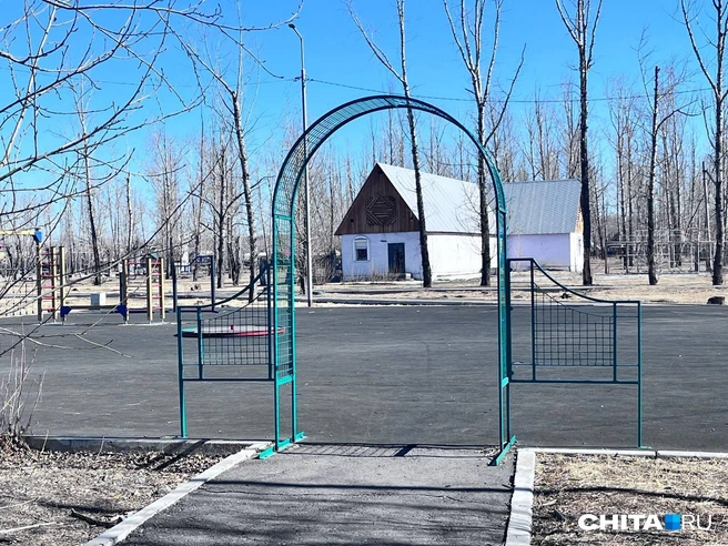 Источник: Александр Хамраев / CHITA.RU