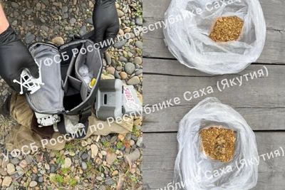 За 600 граммов золота якутянин получил условный срок