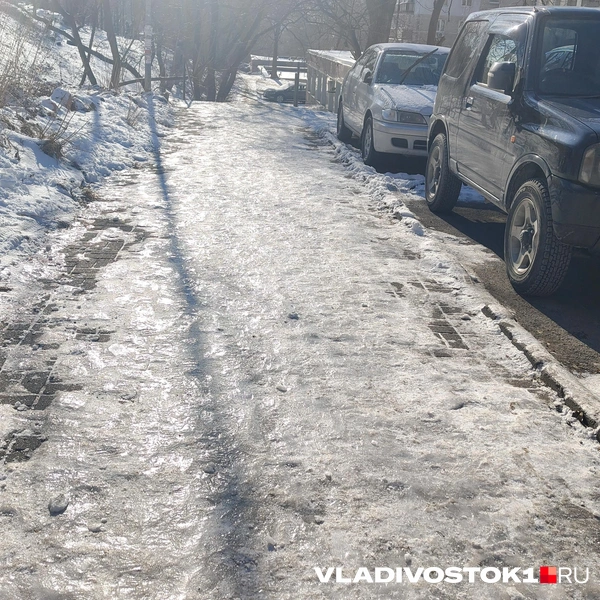 Источник: Елена Буйвол / VLADIVOSTOK1.RU