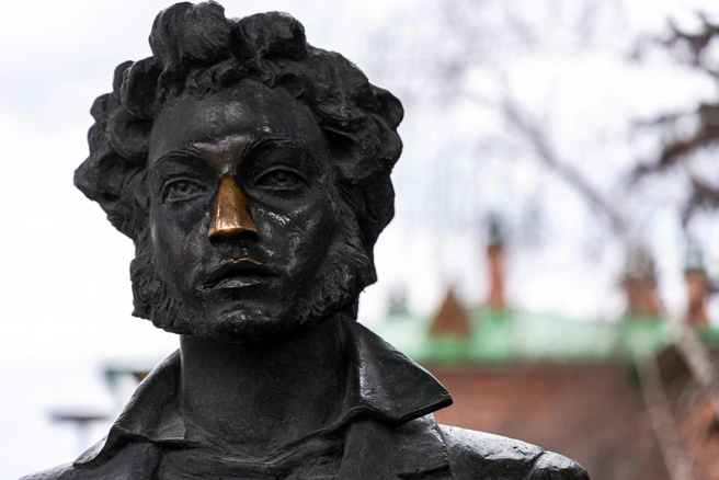 Книжная ОПГ охотилась на русскую классику во Франции. Воров отправили за решетку | Источник: Мария Ленц / NGS24.RU