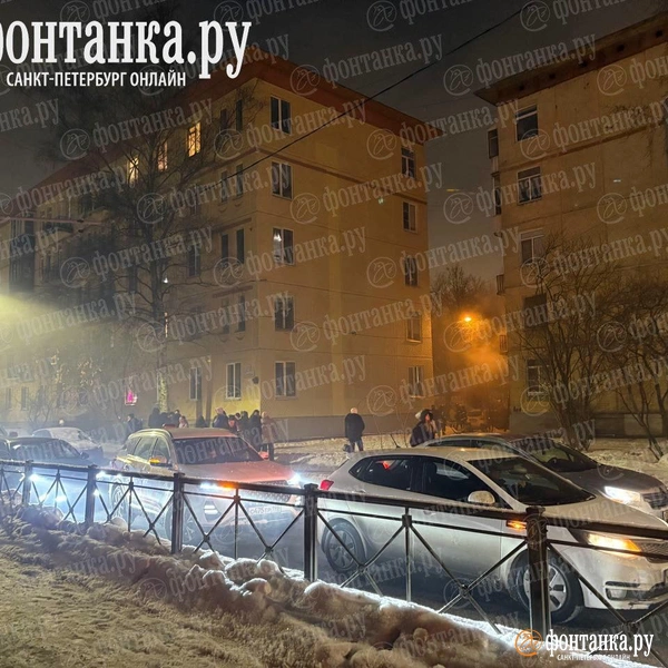 Источник: Дарья Драй / «Фонтанка.ру»