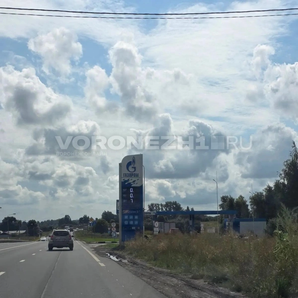 Источник: Ирина Булгакова/Voronezh1.ru
