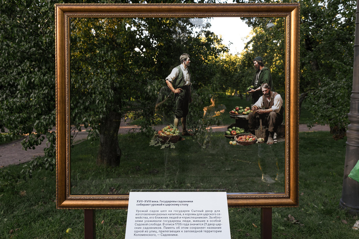 В Коломенском появилась инсталляция, посвященная истории яблоневых садов