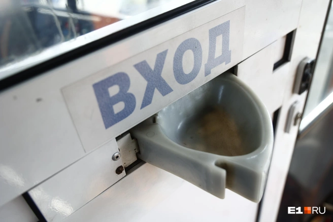 Источник: Владислав Лоншаков / E1.RU