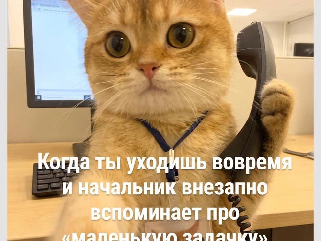 «Маленькая задачка» может растянуться надолго | Источник: Городские медиа