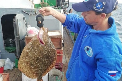 Рыбаки просят запретить сети для камбалы в Азовском море