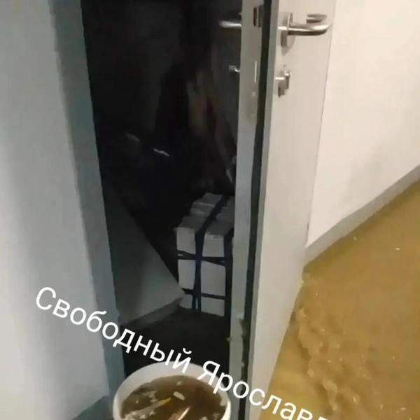 Люди пытались собирать воду ведрами, но это уже было бесполезно | Источник: Свободный Ярославль / Max