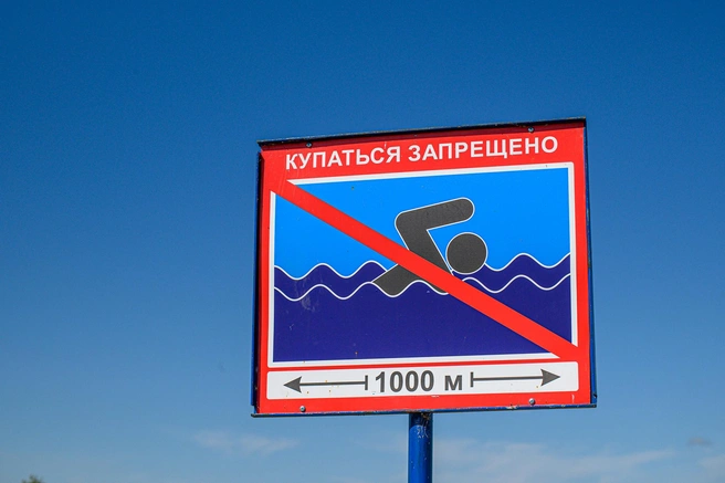 Почти 30 человек утонули в Ленобласти с начала года | Источник: Олег Фёдоров / CHITA.RU