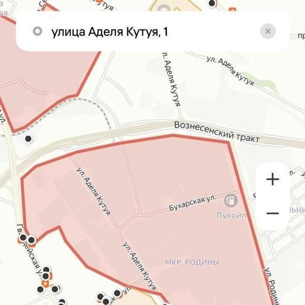 Источник: приложение Whoosh