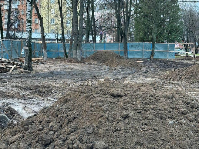 Предстоит масштабная работа по приведению парка в порядок | Источник: читатель 76.RU