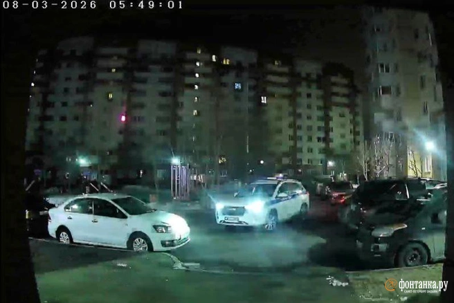 Изрезанный труп мужчины обнаружили в парадной дома в Шушарах. Видео | Источник: «Фонтанка.ру»