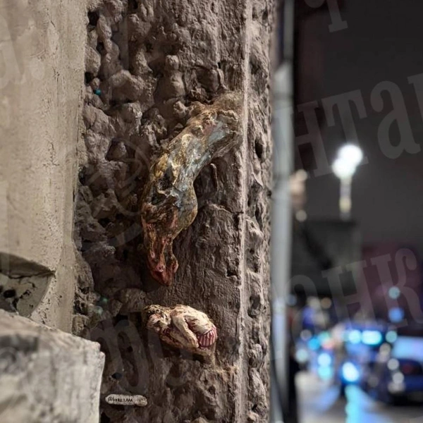 Источник: предоставлено «Фонтанке»