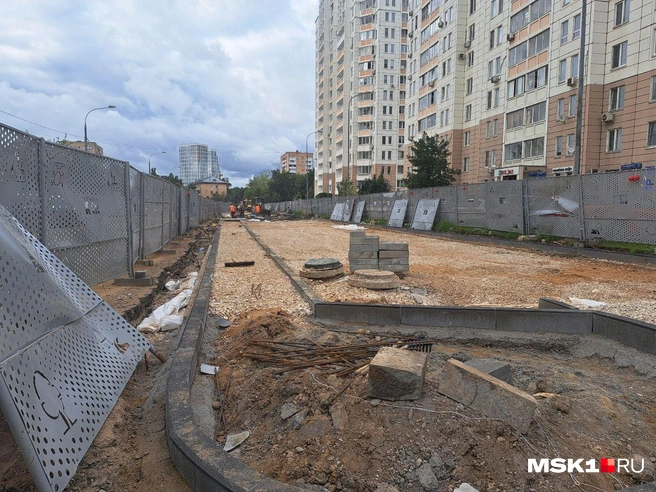 Вот так раньше выглядела липовая аллея, вдоль которой шел тротуар | Источник: Арина Майорова / MSK1.RU