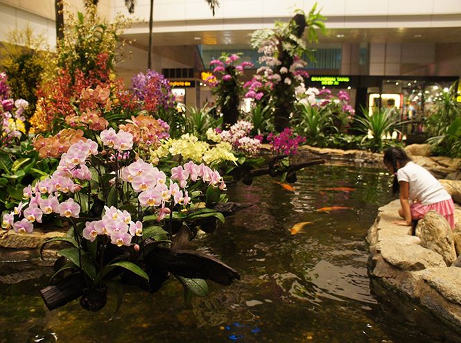 Не выходя из аэропорта: 5 ботанических садов в Чанги (Сингапур)