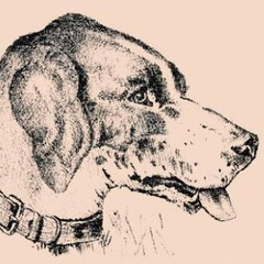 Тест-иллюзия: найдите на картинке хозяина собаки за 3 секунды