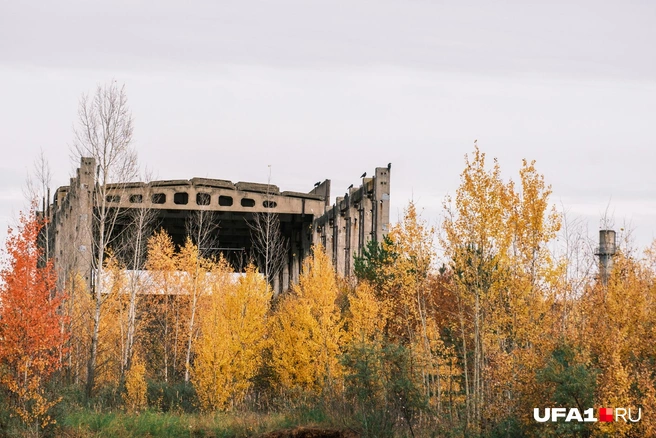 Здание так и стоит без дела | Источник: Булат Салихов / UFA1.RU