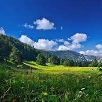 Аватарка Алина
