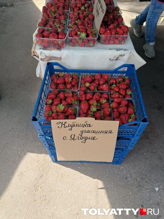 А эта, правда, местная, выращенная под Тольятти в Ягодном | Источник: Юлия Дроглева