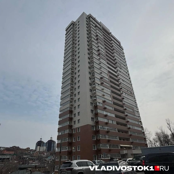 Источник: Елена Буйвол / VLADIVOSTOK1.RU