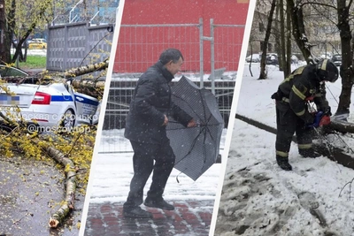 Апрельский снегопад в Москве: два смертельных ДТП и отключения