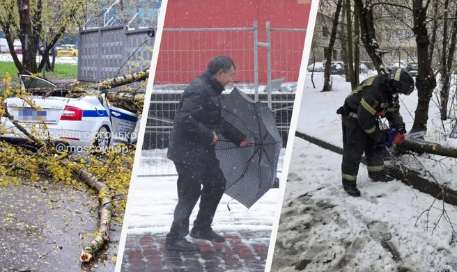 Показываем последствия апрельского снегопада в Москве и области | Источник: Москва с огоньком / T.me; Дмитрий Толстошеев / MSK1.RU; МЧС Московской области / MAX