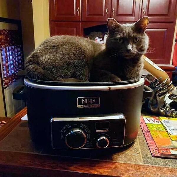 Источник: соцсети