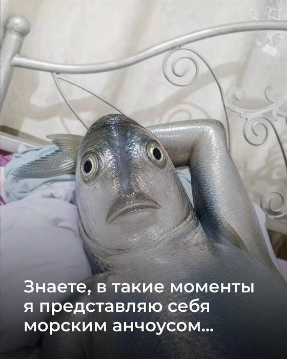 Григорий даже нарисовал веселую картинку, изобразив грустную рыбешку | Источник: Marmelad_iсh / Instagram (экстремистская организация, деятельность запрещена на территории РФ)
