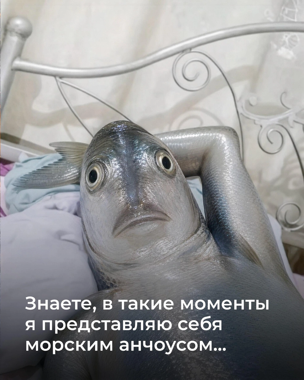 Григорий даже нарисовал веселую картинку, изобразив грустную рыбешку | Источник: Marmelad_iсh / Instagram (экстремистская организация, деятельность запрещена на территории РФ)