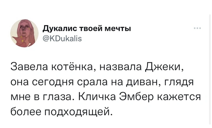 Лучшие шутки про победу Джонни Деппа в суде против Эмбер Херд