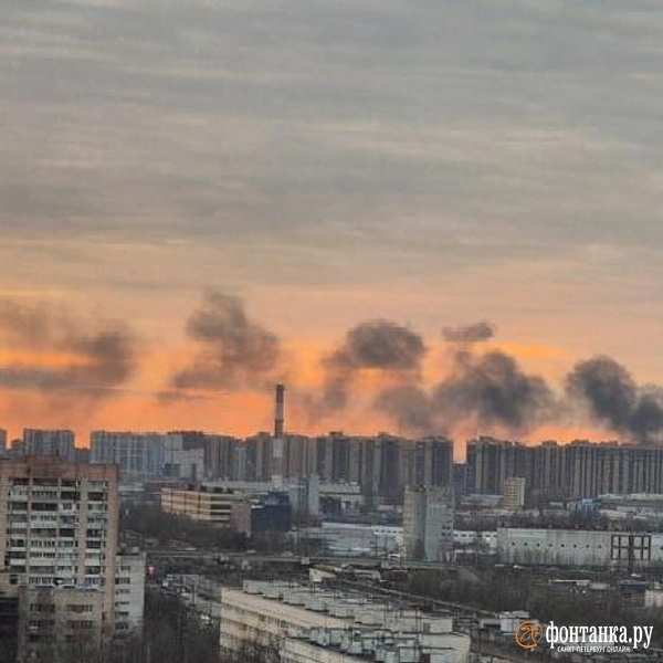 Источник: читатель «Фонтанки»