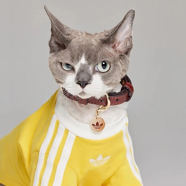Источник: Adidas China / соцсети
