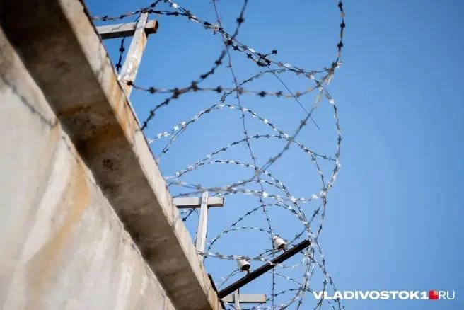 Источник: Елена Буйвол / VLADIVOSTOK1.RU