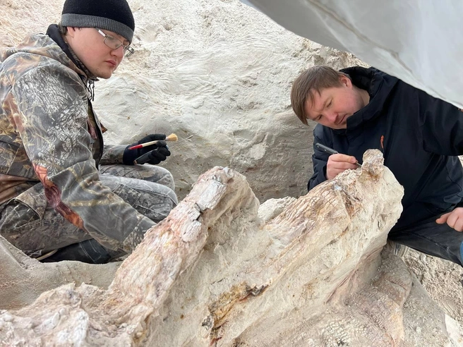 Источник: Григорьев Д. В.