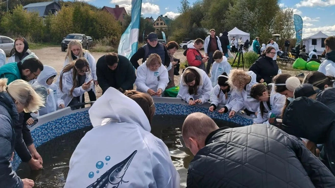 В Волгу выпустили 50 тысяч мальков стерляди | Источник: ojm.tatarstan.ru