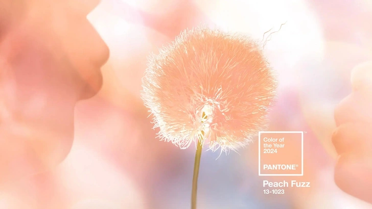 Цвет 2024 года от Pantone: персиковый Peach Fuzz | Источник: архив пресс-служб